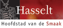 Hasselt-stad-webwinter